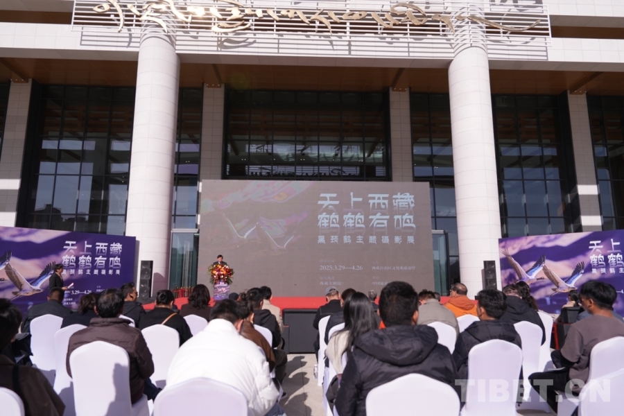 黑颈鹤主题摄影展开幕j9国际站登录西藏：(图8)