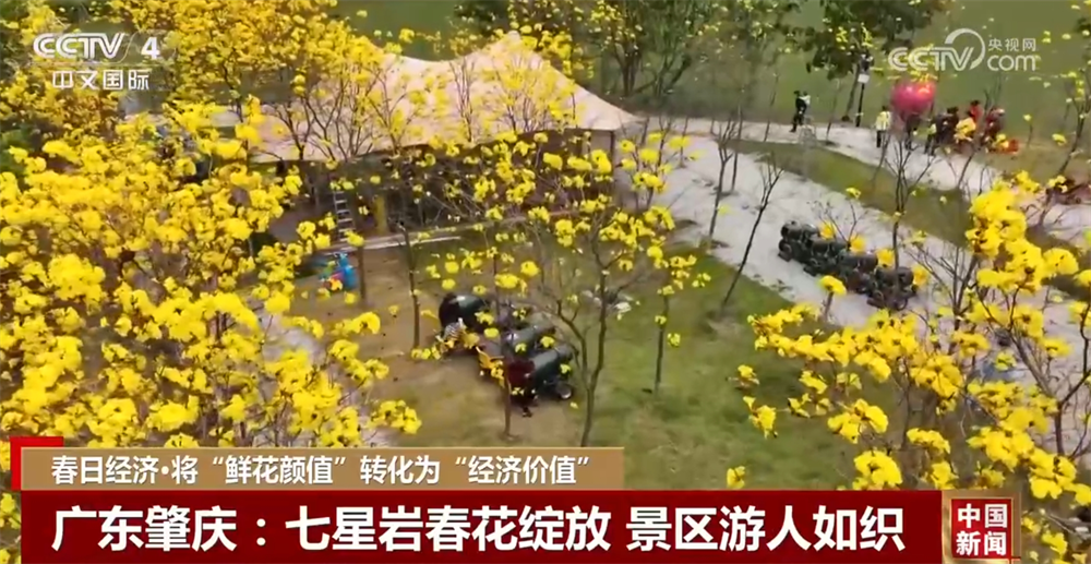 值”转化为“经济价值” 多地开启文旅消费新篇章j9九游会真人游戏第一“春日经济”将“鲜花颜(图2)