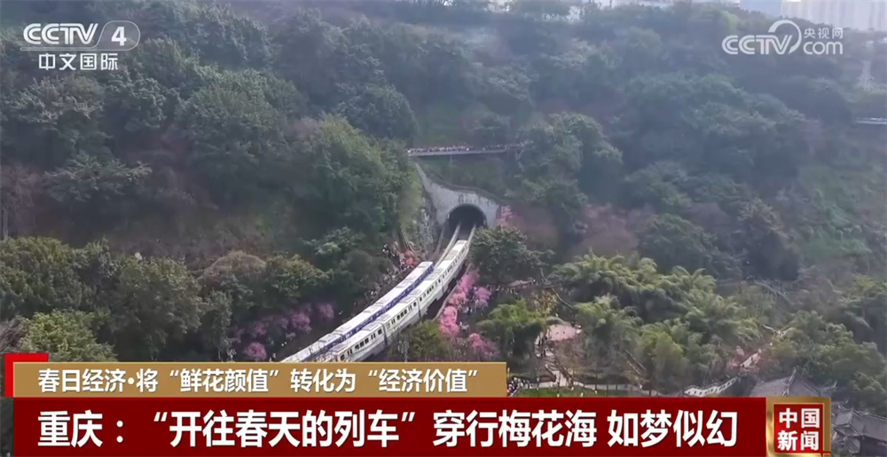 值”转化为“经济价值” 多地开启文旅消费新篇章j9九游会真人游戏第一“春日经济”将“鲜花颜(图3)