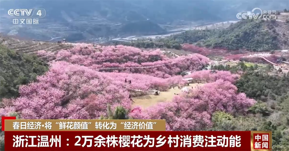 值”转化为“经济价值” 多地开启文旅消费新篇章j9九游会真人游戏第一“春日经济”将“鲜花颜(图4)