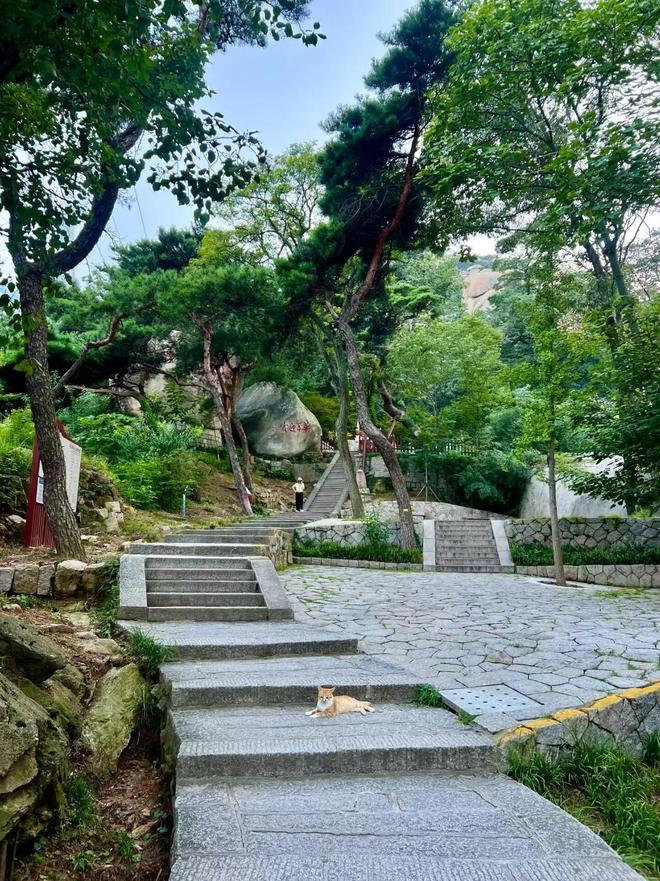 家庭旅行注意事项与省钱技巧五天四晚行程。j9九游真人游戏第一平台青岛家庭游攻略：(图1)